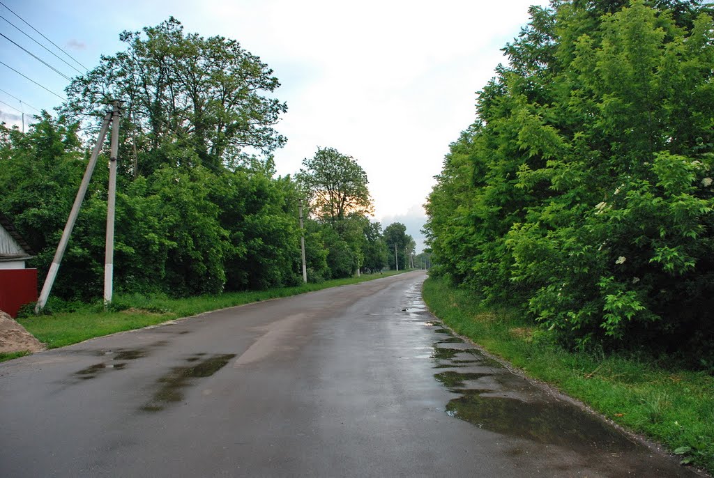 Shchasnivka, central street by Sasha Moroz