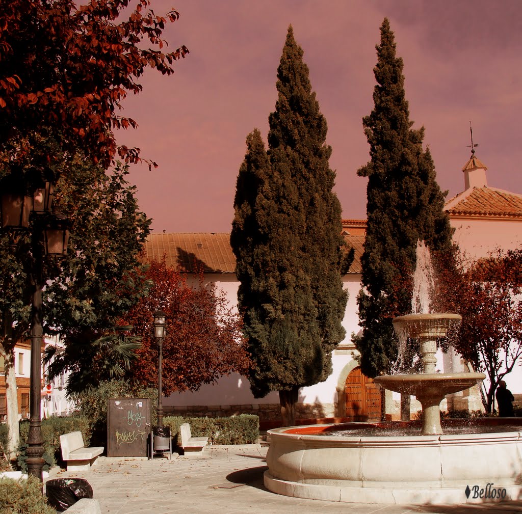 Autumn magic .......... Magia de otoño en Pedro Muñoz Ciudad Real España........by Elena Belloso. by Elena Belloso