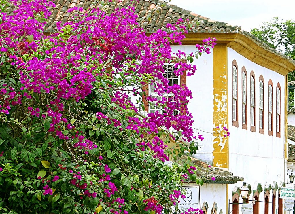 Casarios, cidade de Tiradentes, MG by Márcio Passareli Fot…