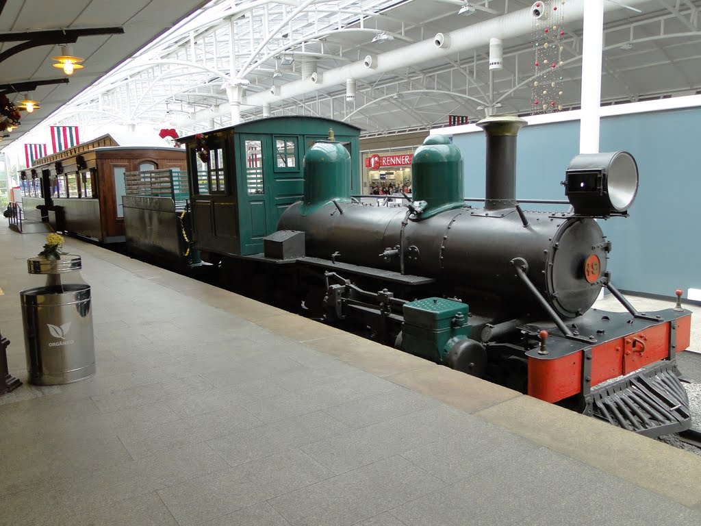 Trem histórico no pátio do Museu Ferroviário em Curitiba, PR. by Ricardo Mercadante