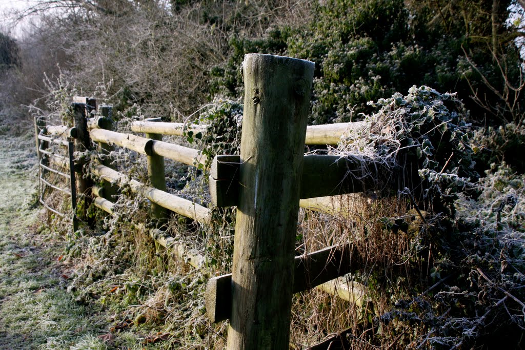 Frosty posts on the Cornard Riverside Walk, Sudbury by HeathUK