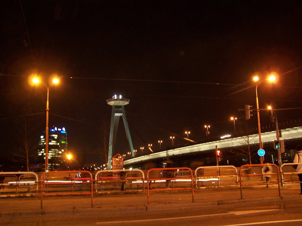 The New Bridge at night by Bibiana Papp