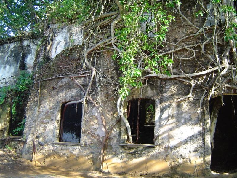 Ruínas de Igreja Lateral by Reinaldo Pellegrino