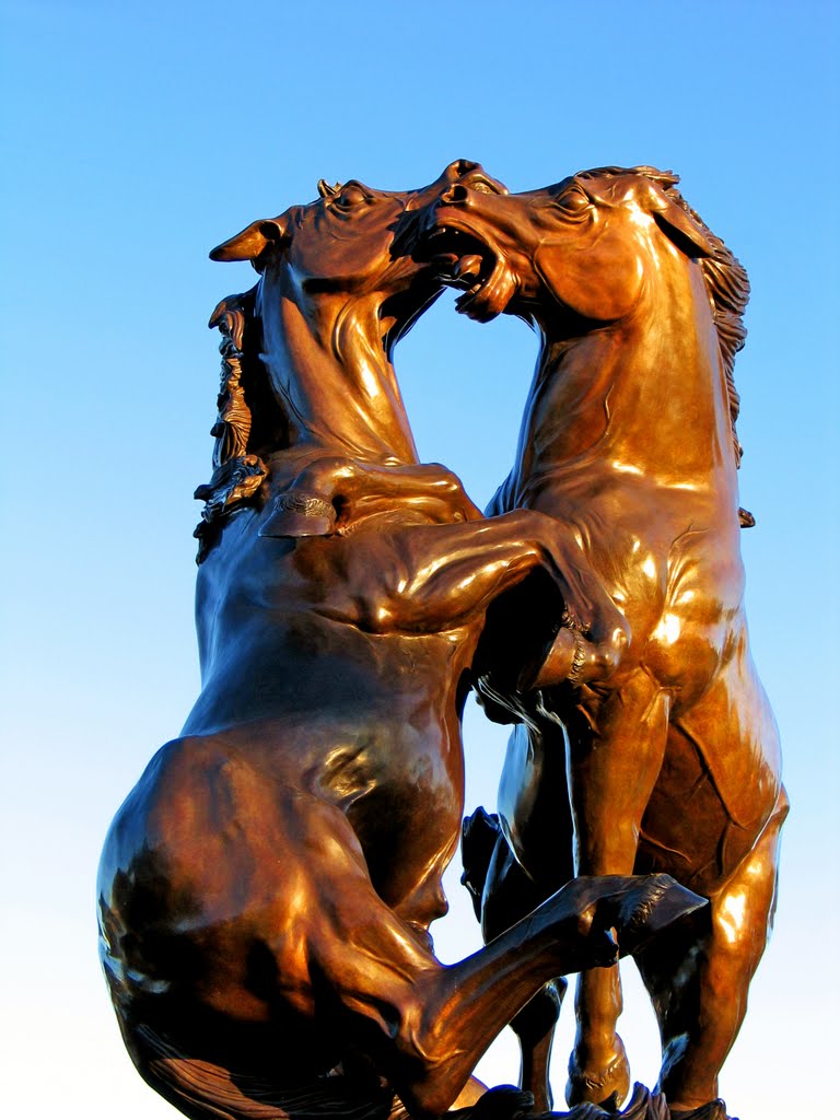 Fighting Stallions Monument by Taber Andrew Bain