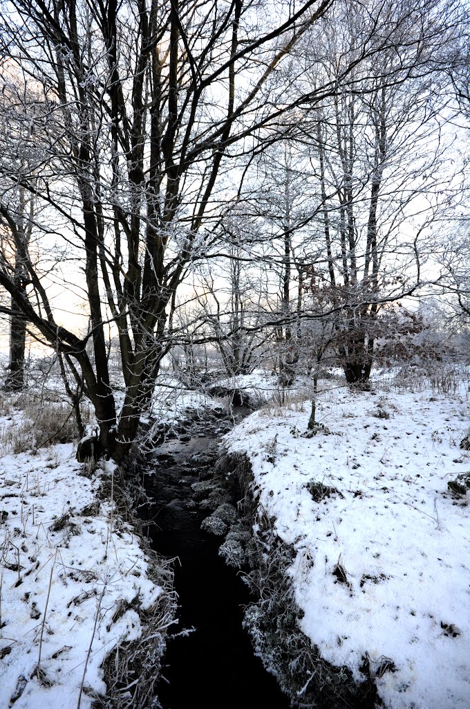 Stream near Bagnall. by Bob McCraight