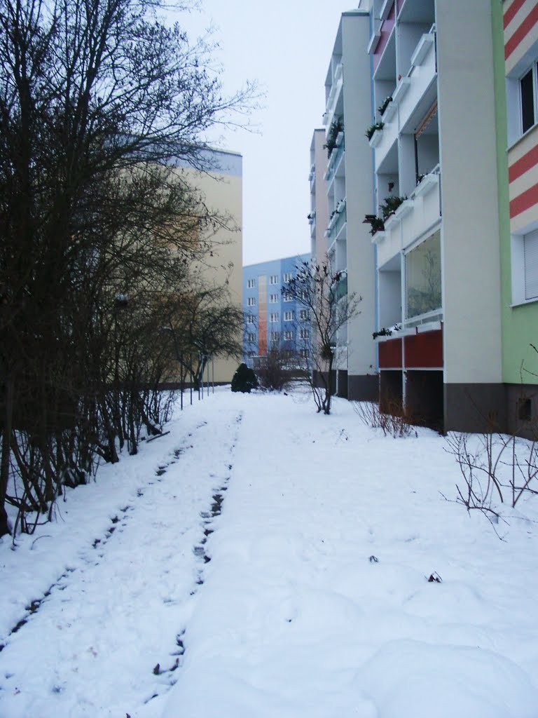 Südstadt, Halle (Saale), Germany by Jörg Hofmann