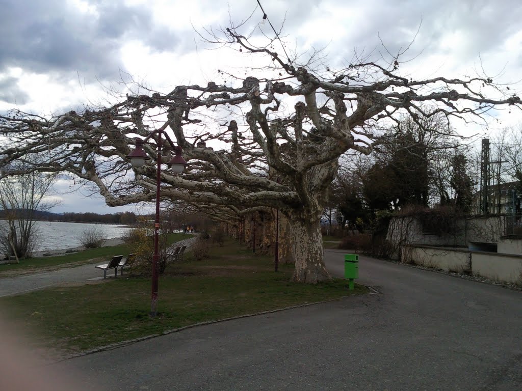 Radolfzell Promenade by anderland36