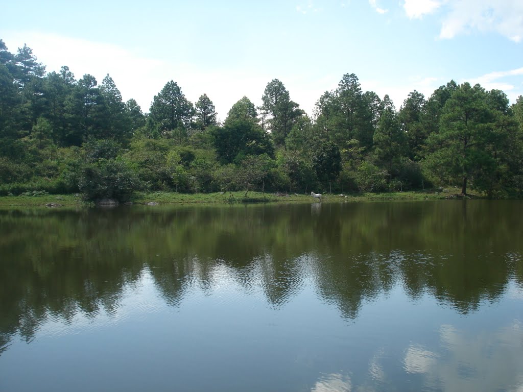 Laguna de El Zapote. Jesús de Otoro, Honduras. by P. Osorio