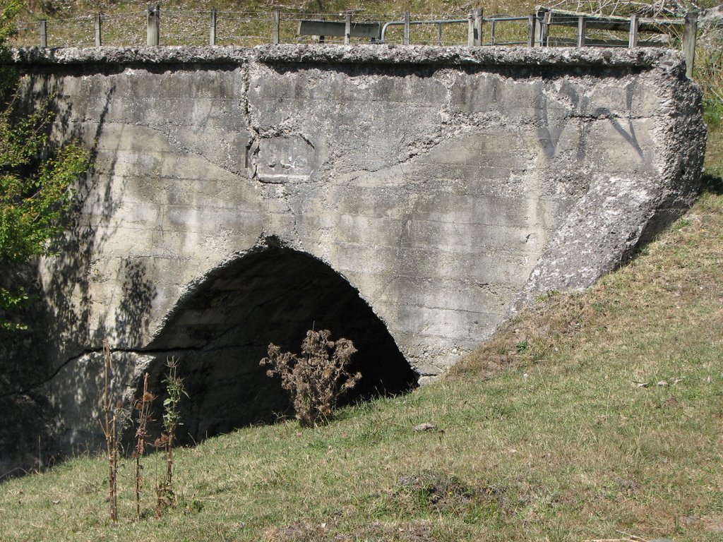 Old railway tunnel near Te Karaka by mountainman