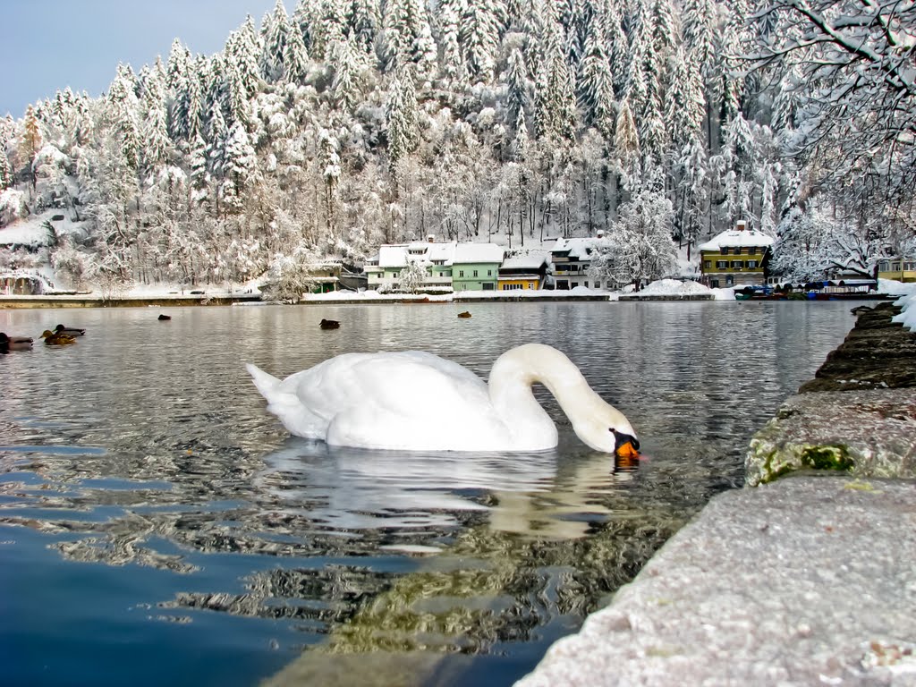 4260 Bled, Slovenia by ★SnowLeopard★