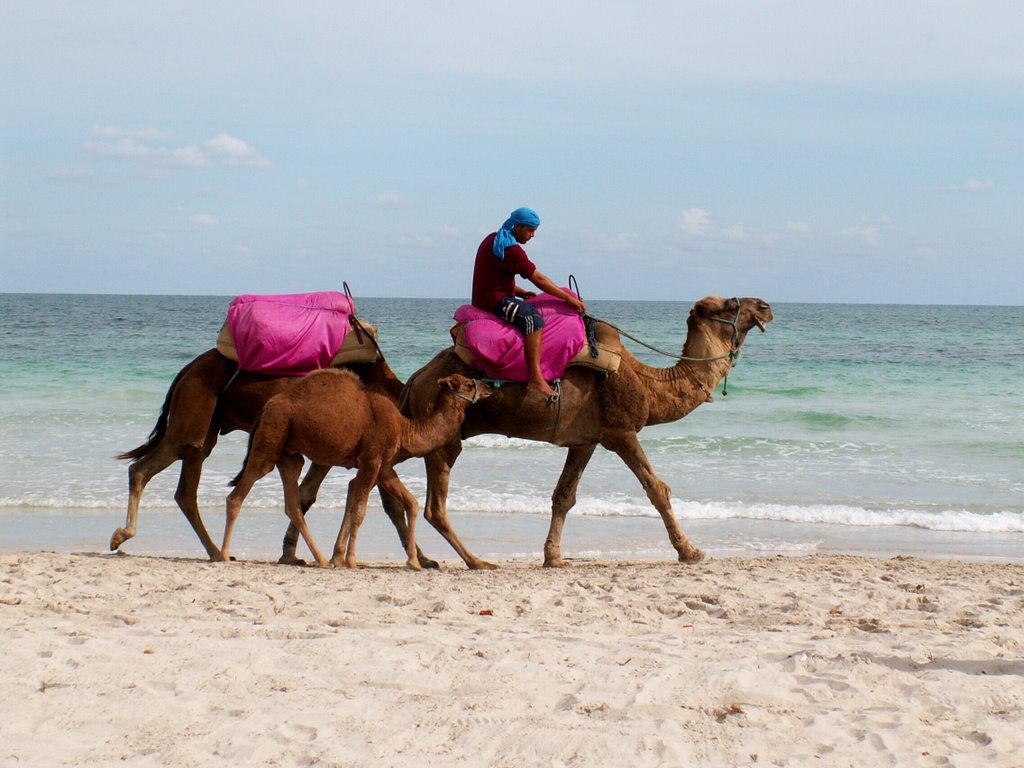 Djerba by aloismilacek