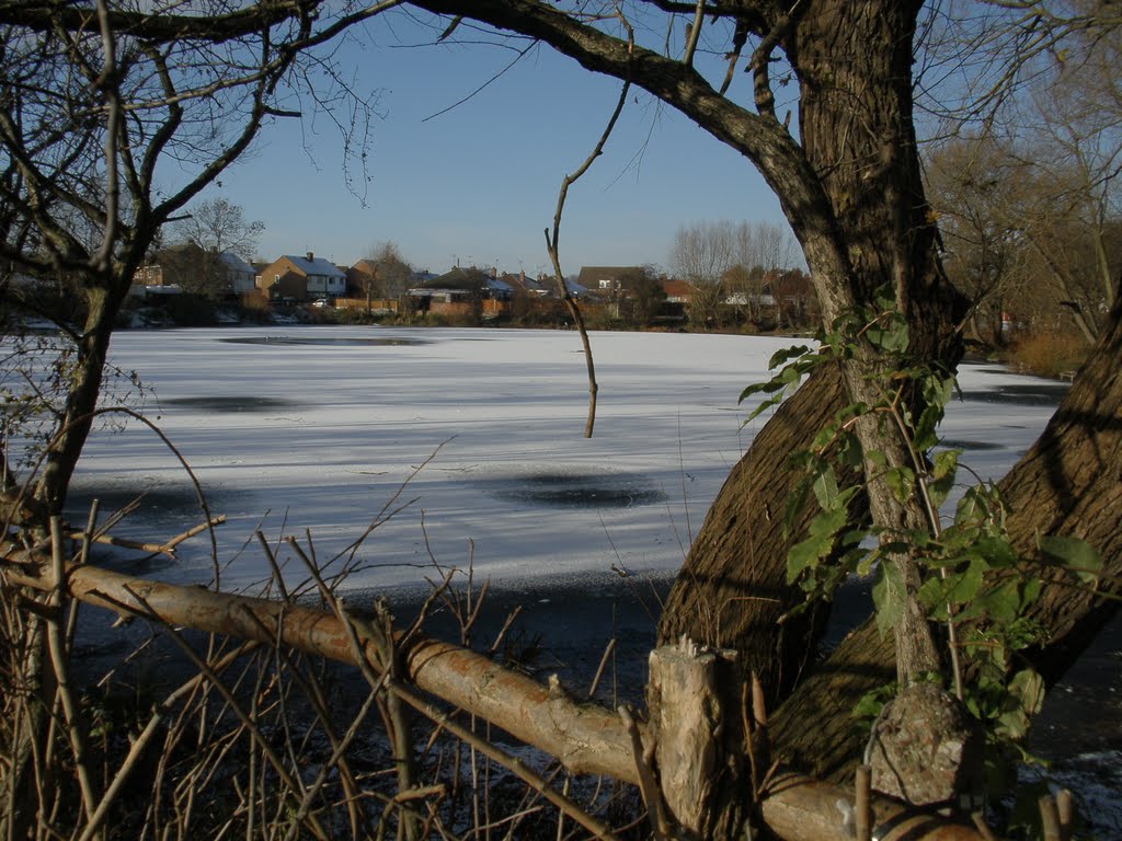 Barkers Pond by M.Daine