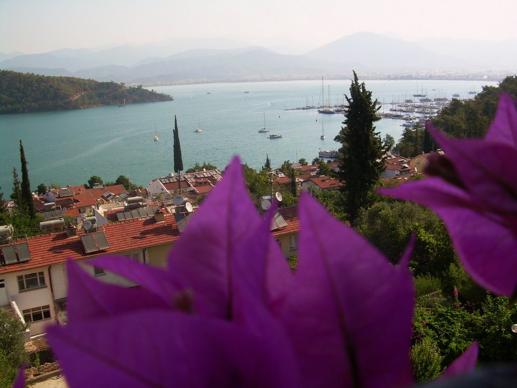 Our Scenery of Fethiye Bay by rasim82