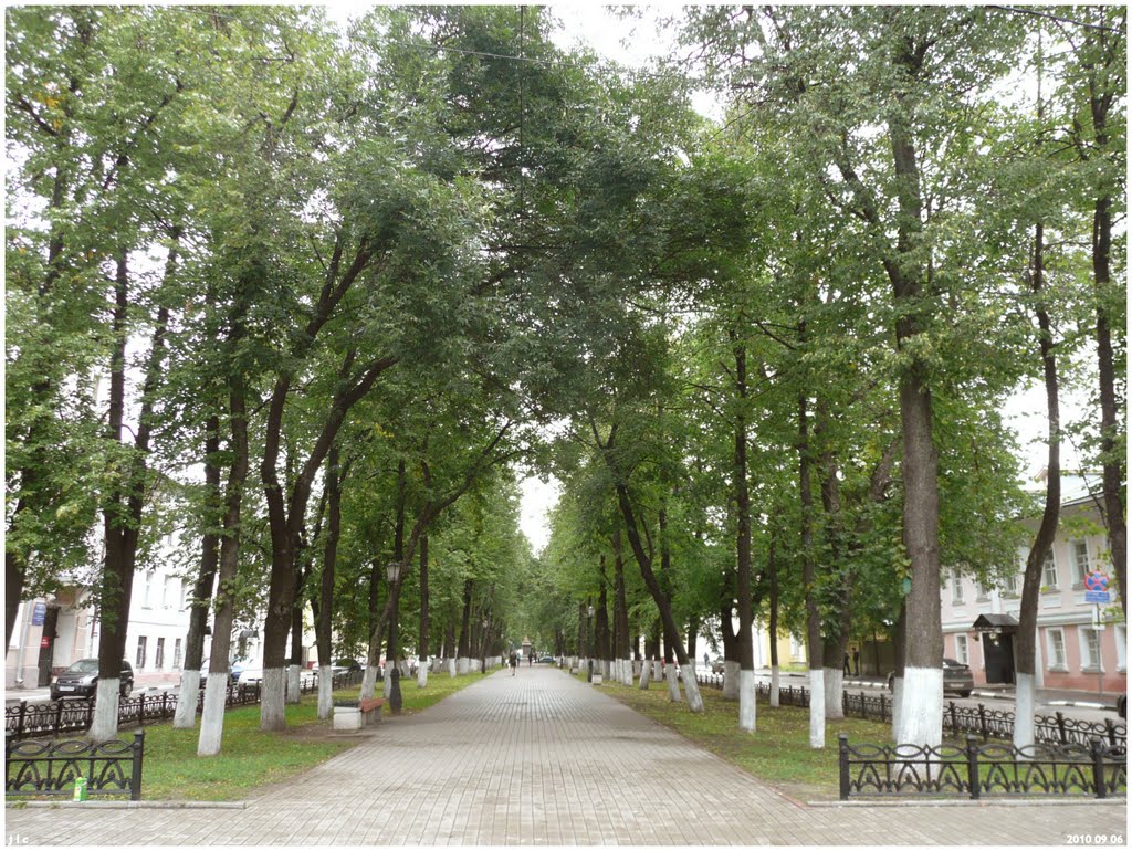 Yaroslavl - avenida arborizada - Russia .τ®√ℓΞΛج by JoZe Cabaso