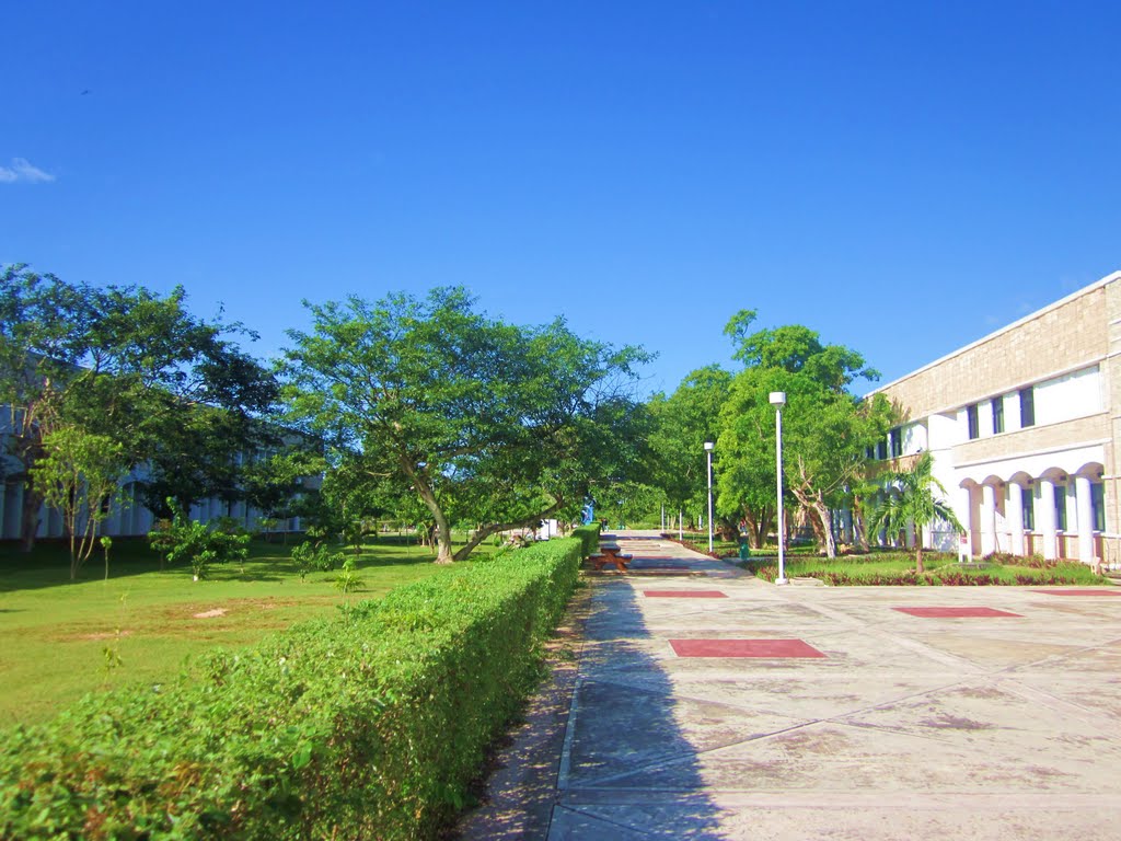 Jardines y edificios de la UQROO, Chetumal, Q. Roo by holachetumal