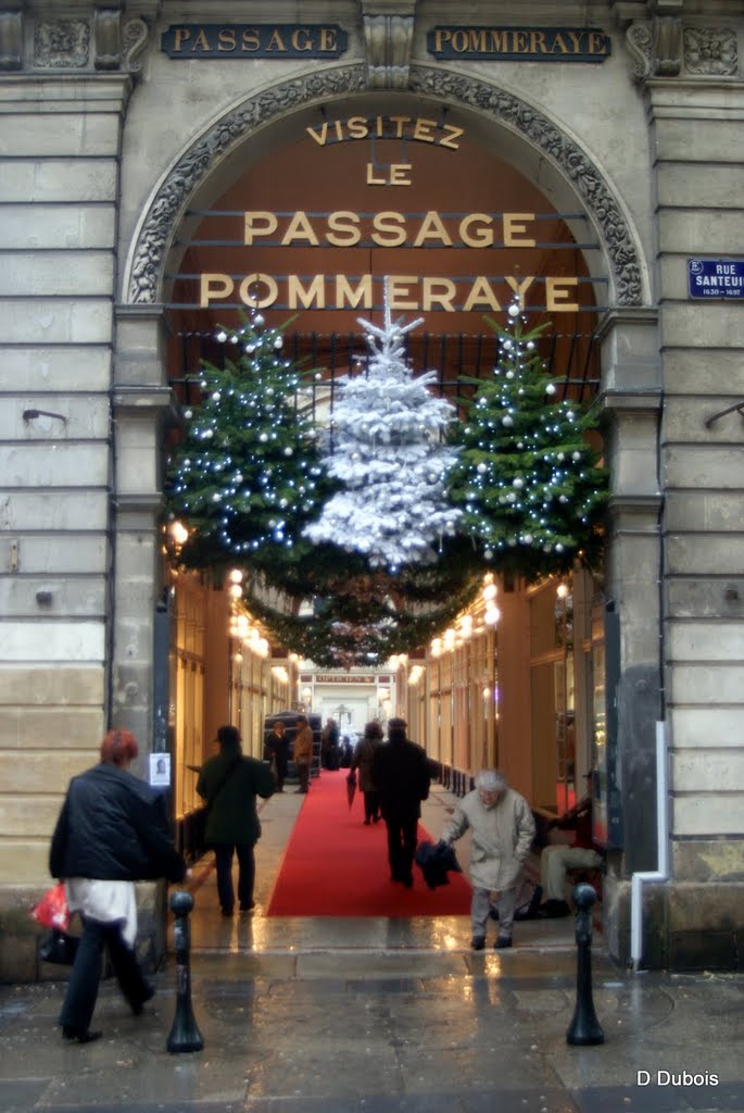 Passage Pommeraye Nantes entrée par la rue Crébillon by Dubois dominique