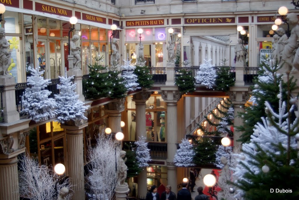 Le Passage Pommeraye Nantes Décor de Noël by Dubois dominique