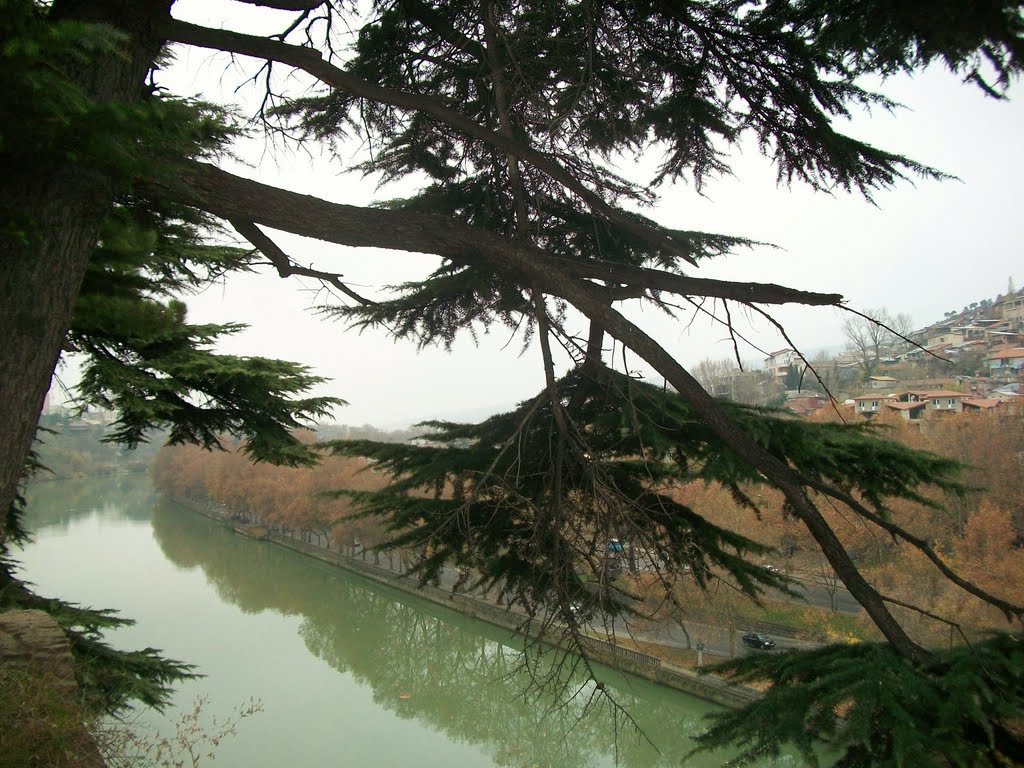 Mtkvari river,Tbilisi by Pogromca Gašnič