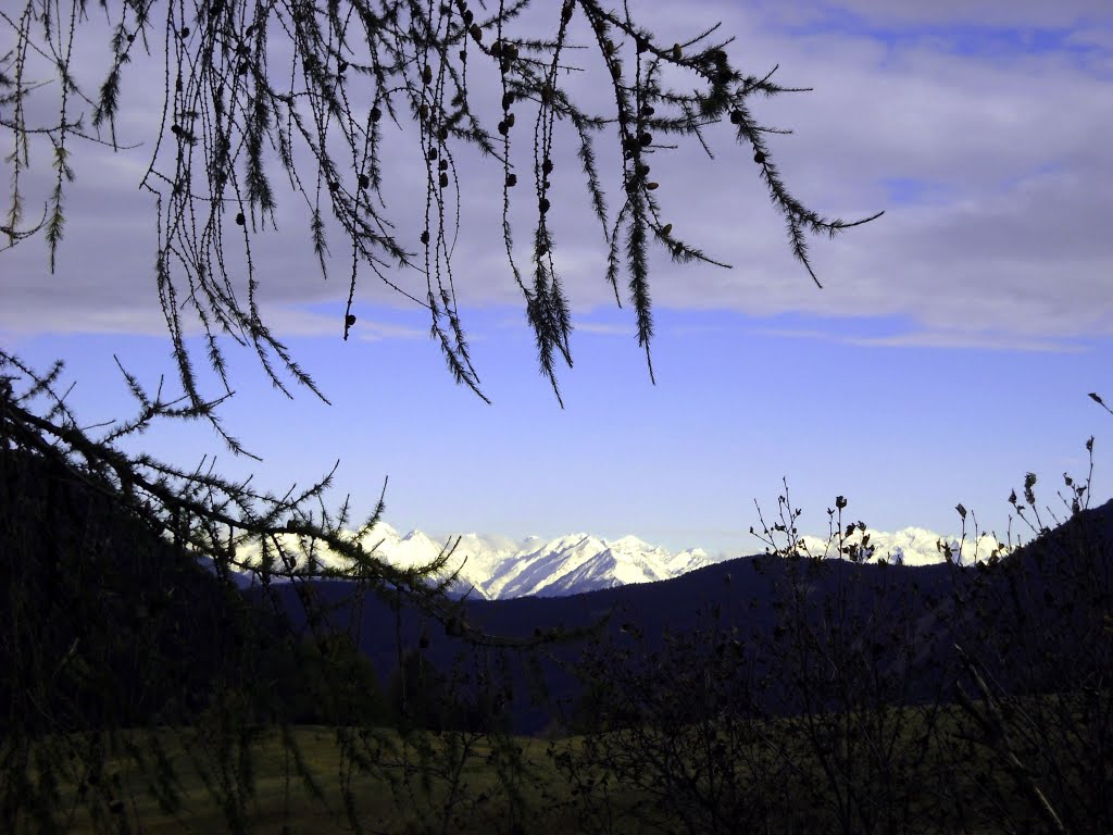 ALPE DI SIUSI - by ANNA DANERI