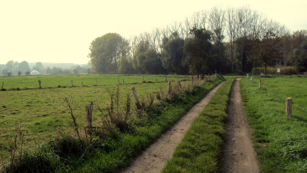 Dijlewandeling (oktober 2010) by Wandelen rond Leuven…