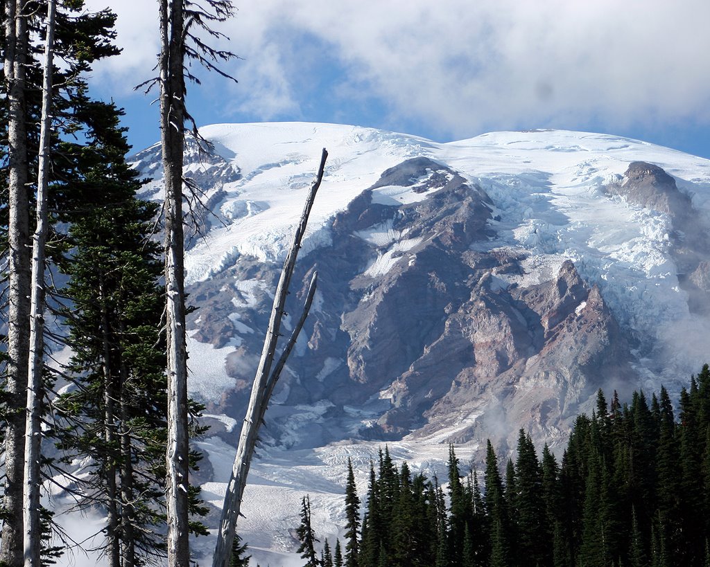 Mt Rainier by Richard March