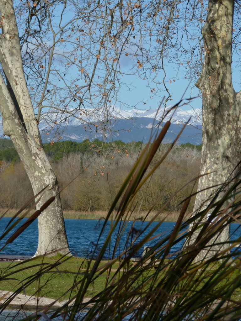 Paisatge d'hivern by la filla d'en manel