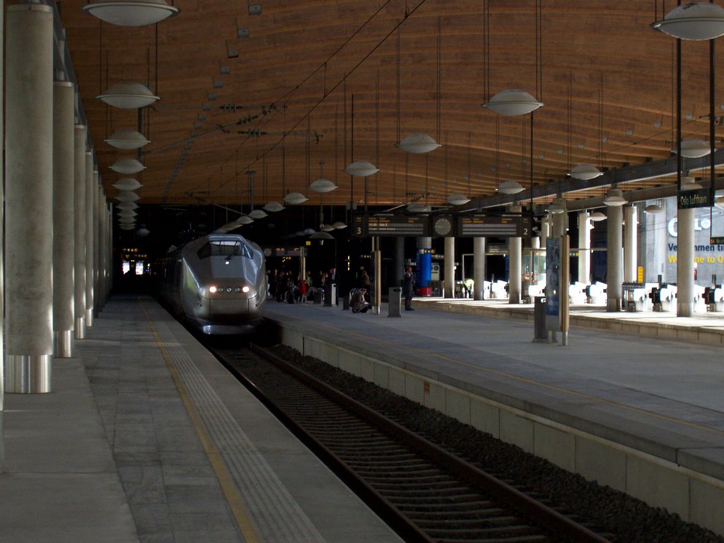 Oslo Airport (Oslo Lufthavn) - Train Station by Vaidas Kazakevicius