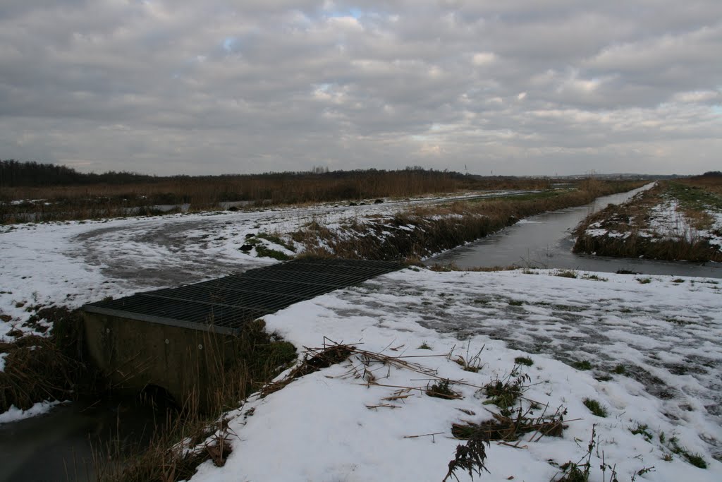 Westbroekse Zodden met veerooster in de winter, Westbroek. by Carl030nl