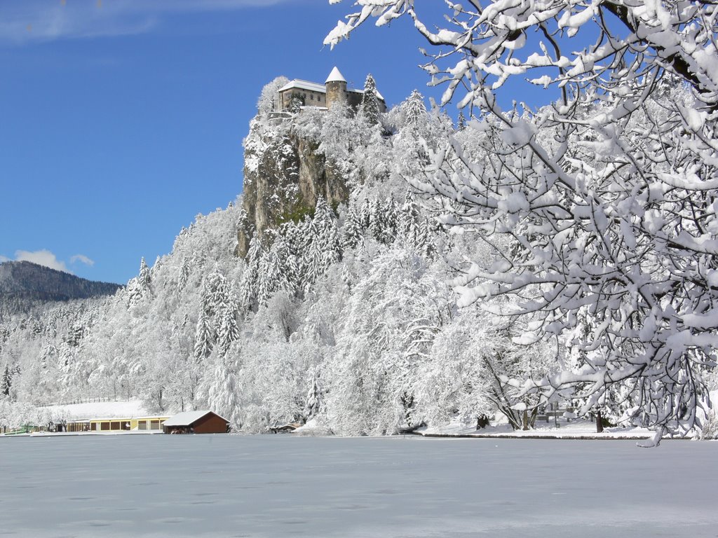 Bled castle in winter(beautiful) by Mirko Vovk