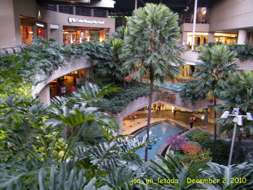 The Trinoma Garden. Trinoma Mall, North Avenue, Quezon City. Philippines. by joa_jm_minho_letada