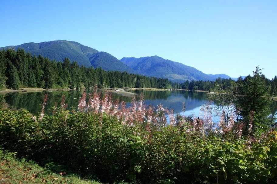 Near Port Renfrew, Vancouver Island by Eric Hahn