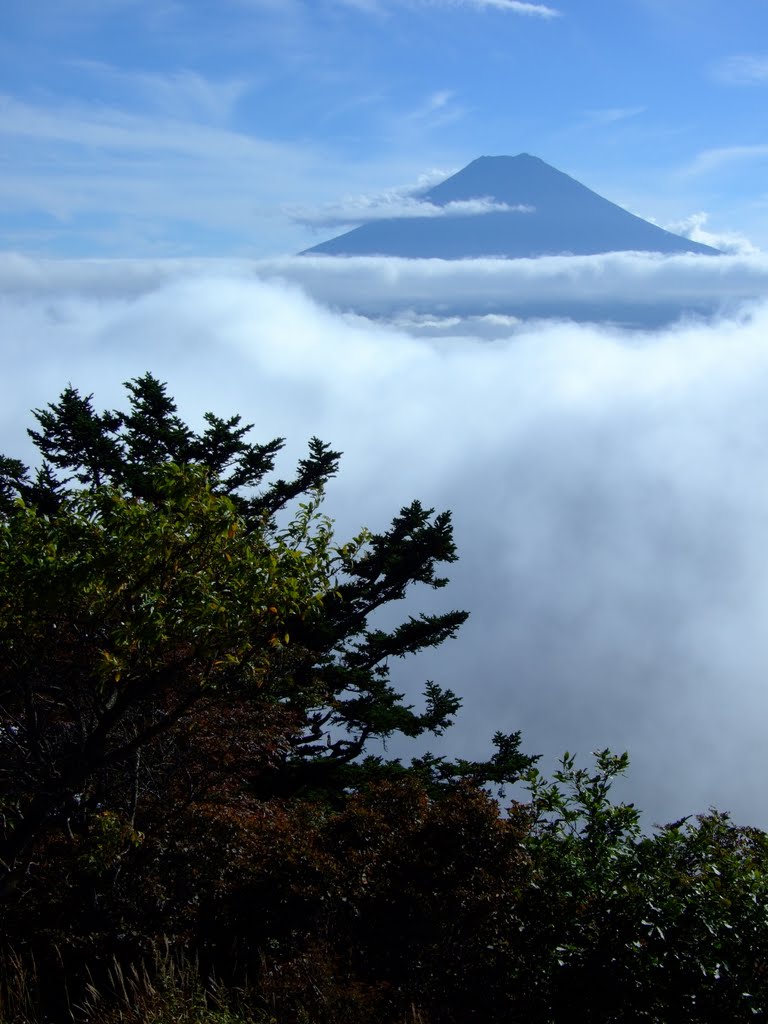 Mt. Fuji Peeking Through Clouds by Chouden Boy