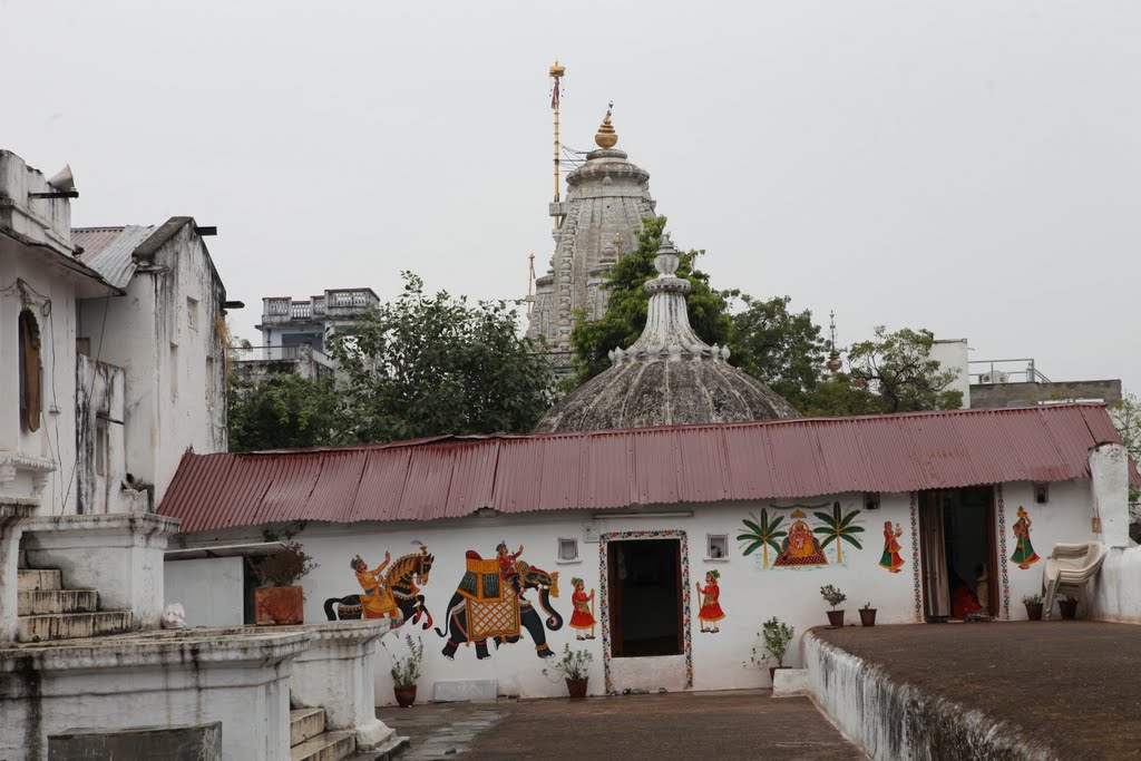 Udaipur templo jagdish by Pilar López. Zarza