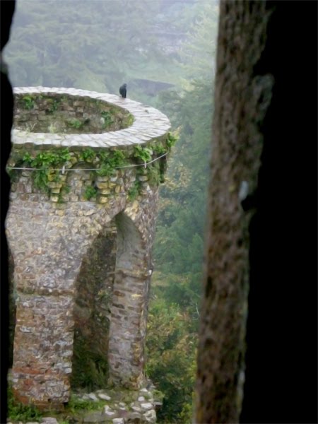 Blarney tower by Snap shot