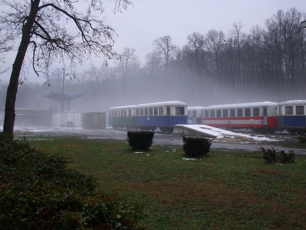 201012081457 Pihen a Gyermekvasút (a volt Úttörővasút hűvösvölgyi üzemi területe) by Harmadik