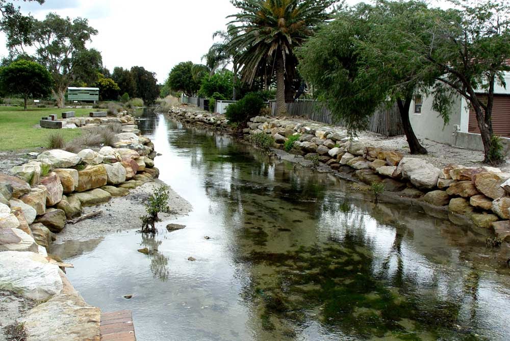 Bado-Berong Creek at Scott Park Wetlands by alvaro espinel