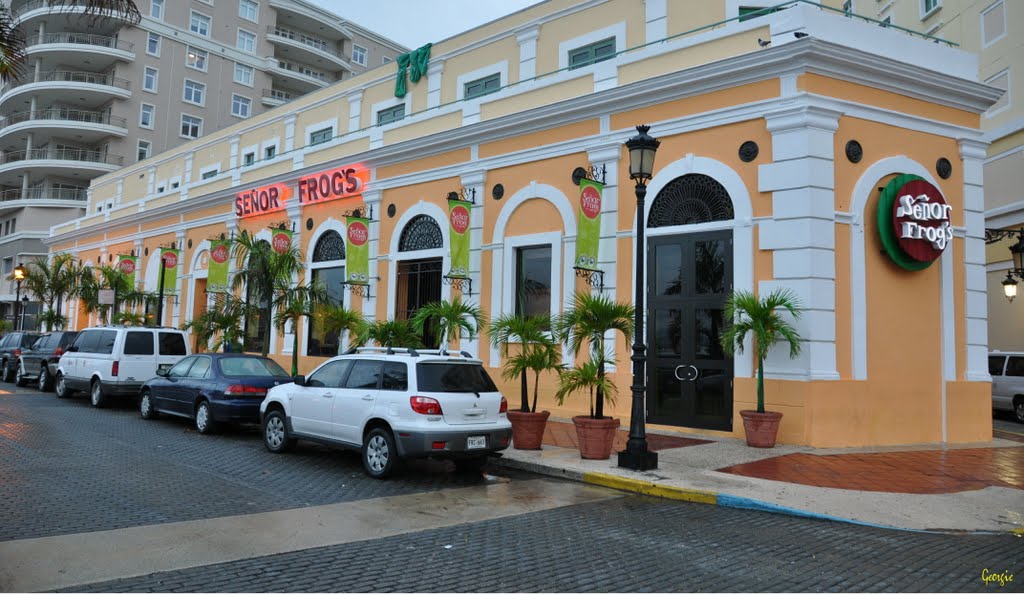 Señor Frog (Restaurant), Old San Juan by J Ortiz Rosario