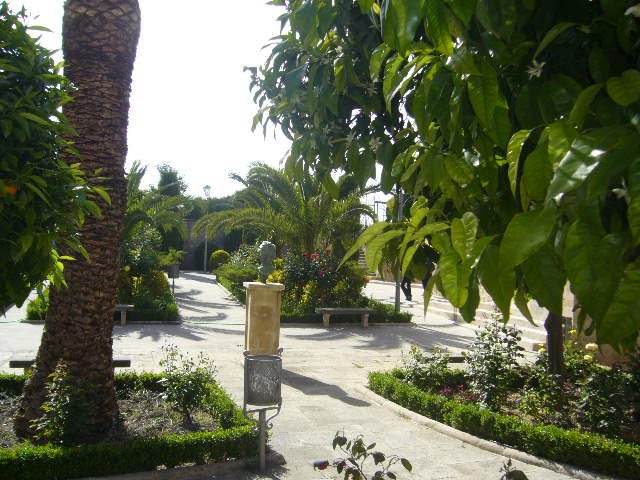 JARDIN EN BAEZA JAEN ESPAÑA by Manuel Acero Cruz