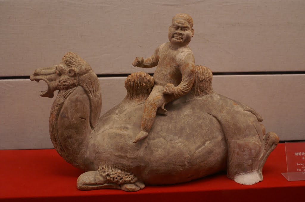 Terracotta camel by gmbgreg