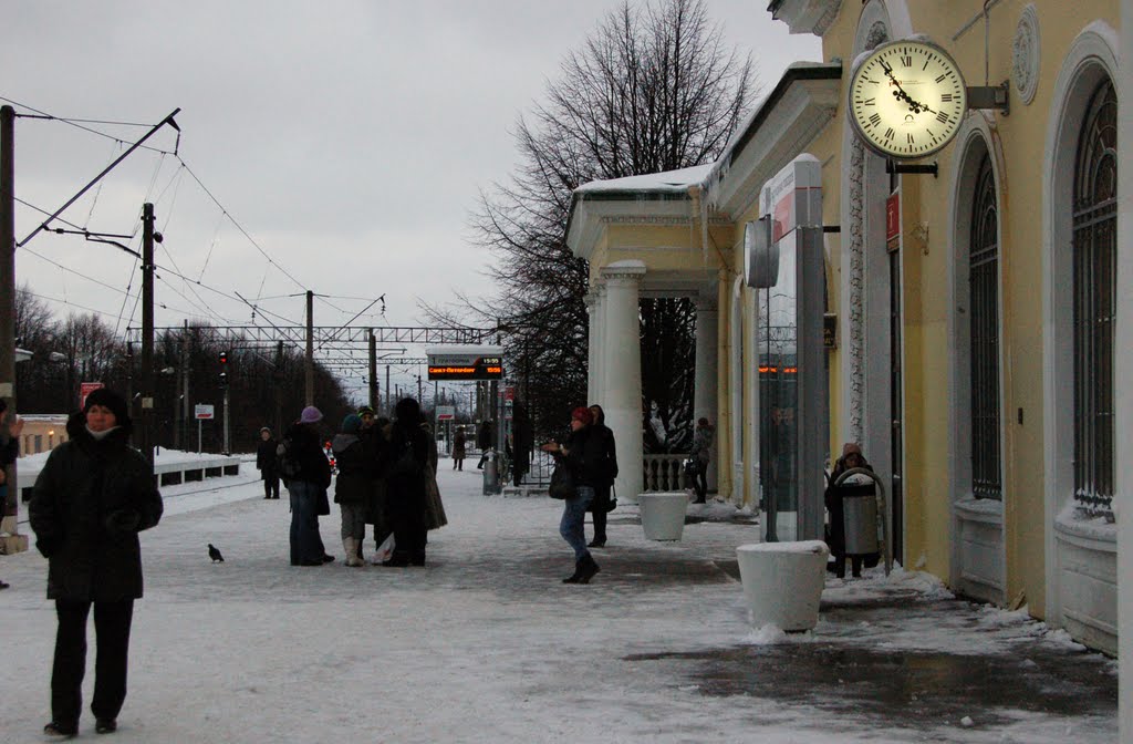 Pavlovsk Station by Vit Kar