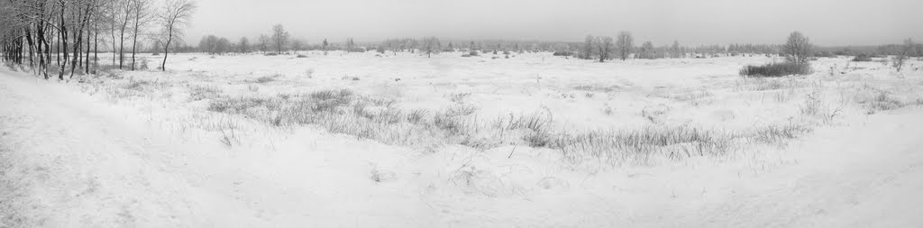 Fagnes sous la neige by Raymond Donnay