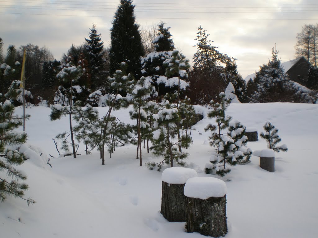 Purus baltas sniegas vėl apklojo Žemę... - Fluffy white snow covered the Earth again ... by Gintarele