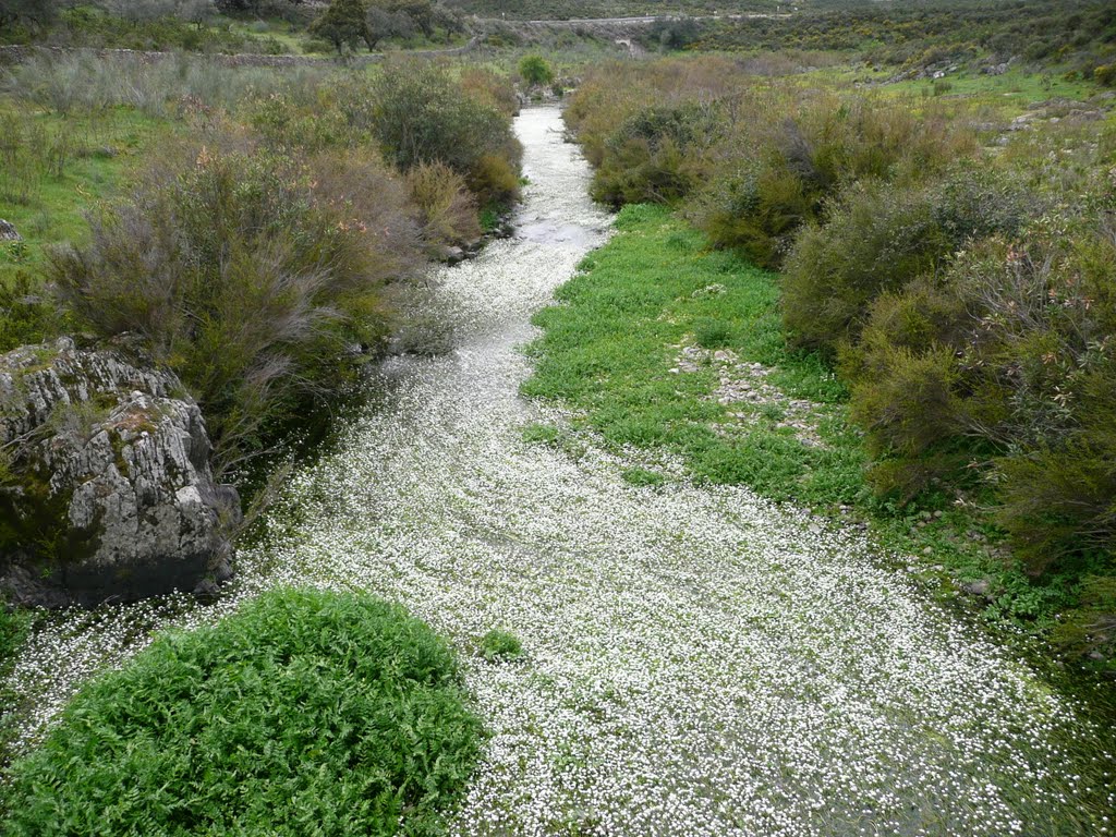 Rio Sillo - Encinasola - Huelva by JESUS ALVAREZ CRISTI…