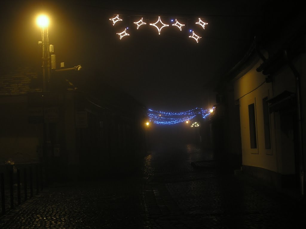 Szentendre, Hungary by Major Frigyes