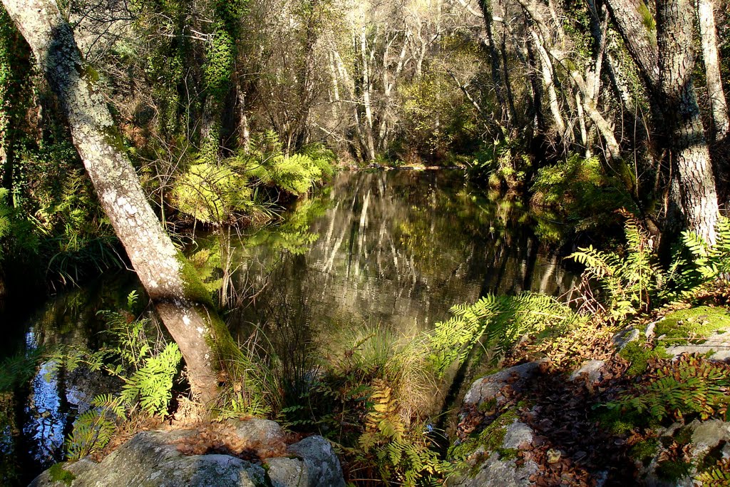 Paz, Ribeira do Alcolobre by HortaF