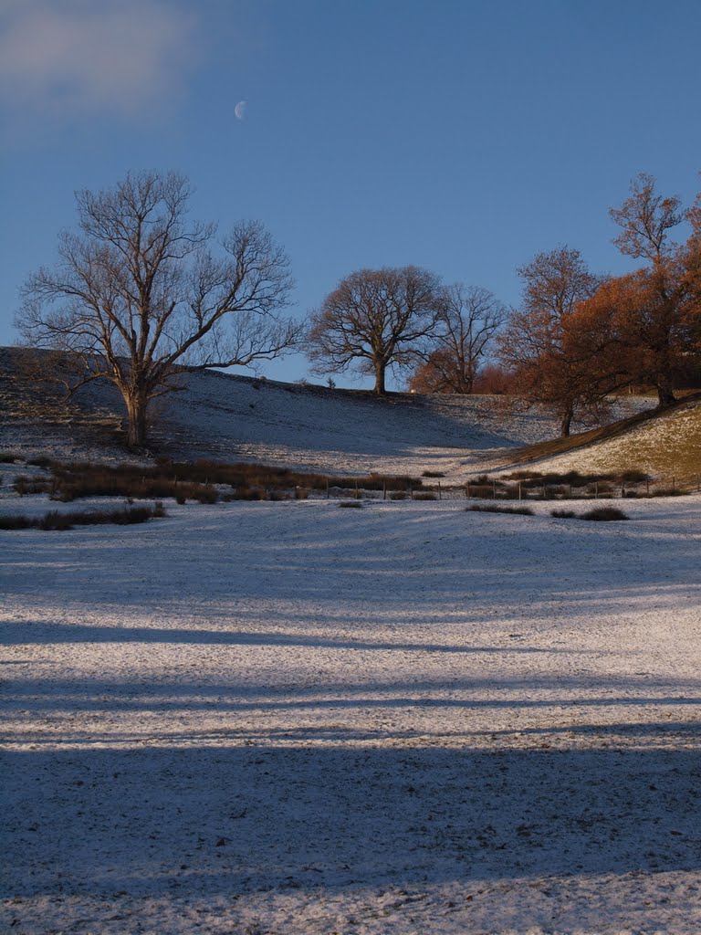 A walk near Hawkshead by Brian Hill