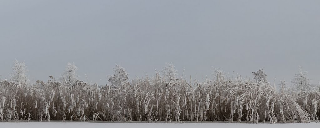 Ouddeel 18 by Robert van Poppelen