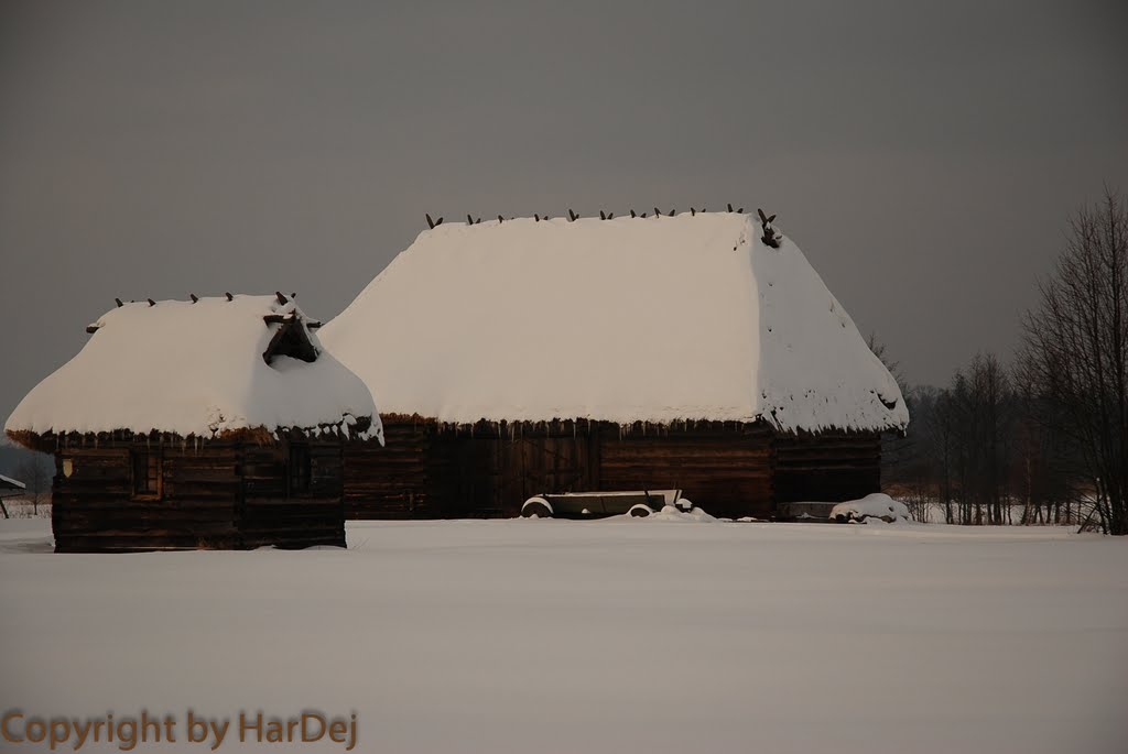 Skansen w Białowieży by HarDej