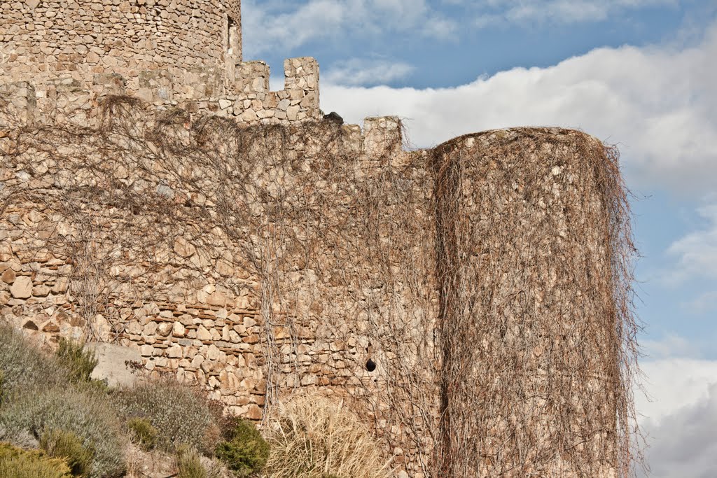 CASTILLO DE CONSUEGRA (TOLEDO) by rro