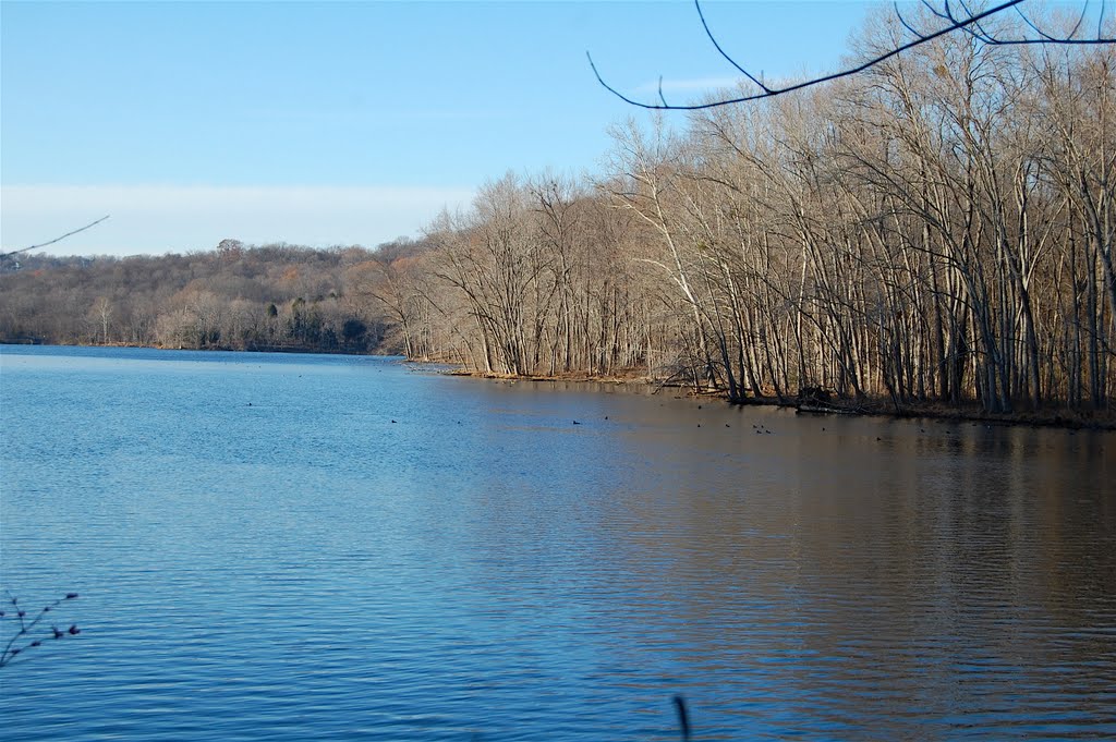 Radnor Lake by Buddy Rogers